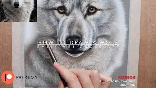 Wolf tutorial preview #beginnerartists #pastelpencils #patreon #softpastels