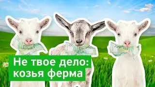 Не твое дело: козья ферма