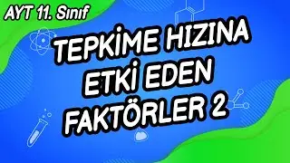 N4 - TEPKİME HIZINA ETKİ EDEN FAKTÖRLER 2