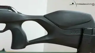 Review Gamo G-Magnum and Swarm Magnum