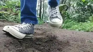 WISATA HUTAN PINUS CISAYONG TASIKMALAYA
