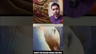 मरने के बाद नाक और कान में रुई क्यों डालते हैं 😱SCIENCE SE SAMJHO 