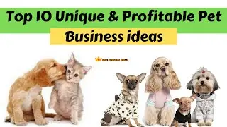 10 Pet Business Ideas Everyone is Missing