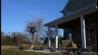 Jumper Test
