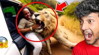 Scariest Animal Encounters of All Time!😱