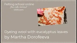 Dyeing wool with eucalyptus leaves
