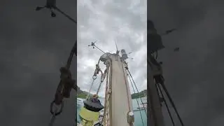 ЗМЕЯ забралась на мачту! Дикий яхтинг