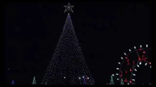 Christmas Lights 2021- Farragut