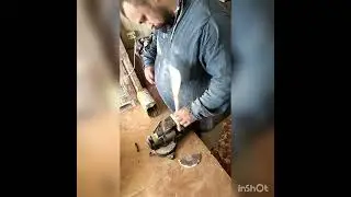лопатку))
