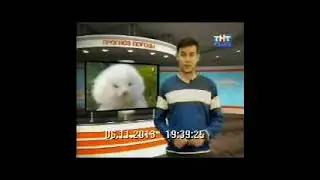 Нижнекамск | ТНТ-Эфир. 06.11.2013. Прогноз погоды и начало программы 