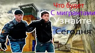 Шокирующая правда о мигрантах Ценные специалисты рассказывают