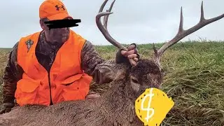 ‘merica