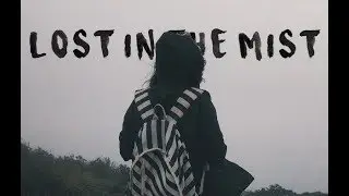 Lost In The Mist - Knuckles Mountain Range ( 2019)
