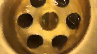 вичуха
