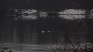 Бабушка повторяет одно и тоже слово 8 раз подряд...