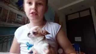 Вопрос и ответ.///Аринка БэЙ