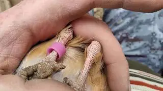 #Как
