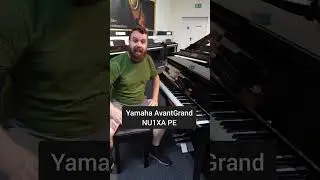 Teaser Yamaha AvantGard NU1XA PE