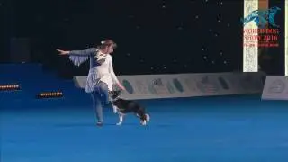 Ника на ЧМ 2016 Москва Россия