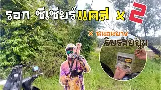 รอกซีเซียร์แคสx2 กับหนอนยางริบรอย