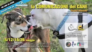 La Comunicazione del cane - Grazia Ribaudo