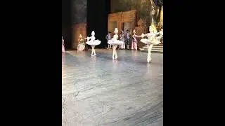 “La Scala Theatre in The Sleeping Beauty, @vanessavestita @marygarret7 👑 #balletclassical   @valew