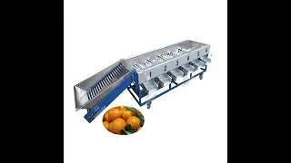 tomato sorting machine