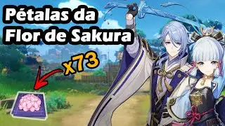 Rota de farm Pétalas da flor de sakura - Genshin Impact
