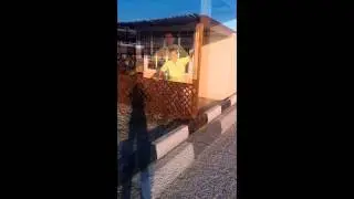 Мое слайд-шоу