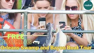 Orleans Swamp and Bayou Boat Tour