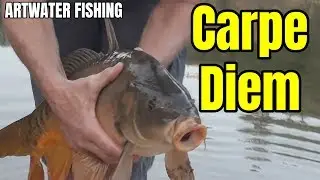 Carpe mirroir au pain 