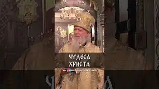 Miracles of Christ | Bishop Augustine (Anisimov)