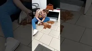 Лина бреет Тришу.