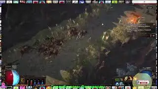 Path of Exile («Путь изгнанника»)  начало коопа  CO_OP и сразу конец