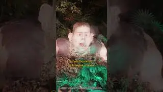 Discover the Forbidden Forest