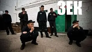ЗЕК после третьей ходки (CS:GO)