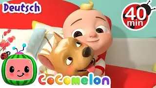 Das kleine Huendchen Bingo | Kinderlieder und Cartoons | CoComelon | Moonbug Kids Deutsch