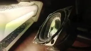 Untitled video