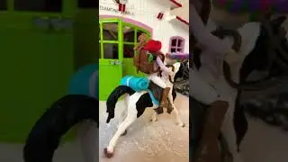 Schleich horse short video