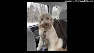 feofilov - чебоксары (слив трека)