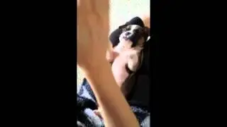 Winston Learns to pray