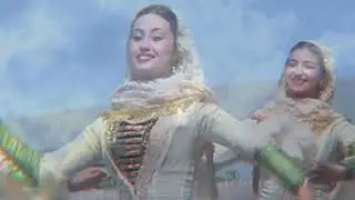 Оршот буьйса