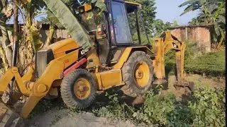 Removing bamboo roots with bulldozer 