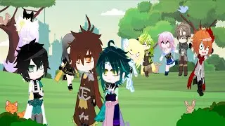 Looking for Starfishes & Simulated Universe [Genshin Impact & Honkai: Star Rail]