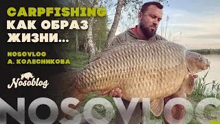 Карпфишинг, как образ жизни - NOSOVLOG, А. Колесников