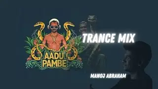 Aadu Pambe EDM ft Vava Suresh