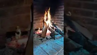 ¡Fuimos por el arbolito de Navidad, pero trajimos algo más..!