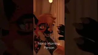 I'm not a Morning Person