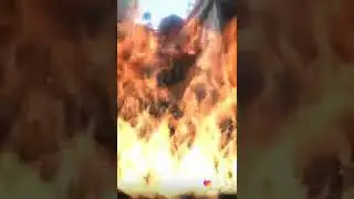 Брат с двоюродный с родным