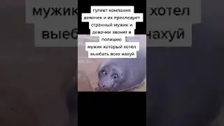 мем из тик тока 